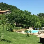 In With Pool & Apecchio