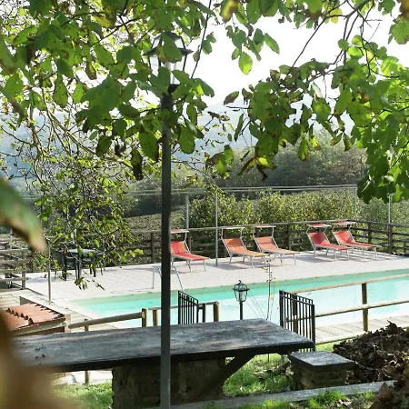 In With Pool &