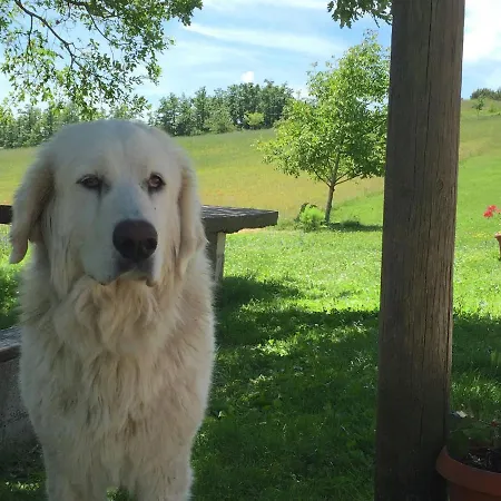 Nyaraló In With Pool & *