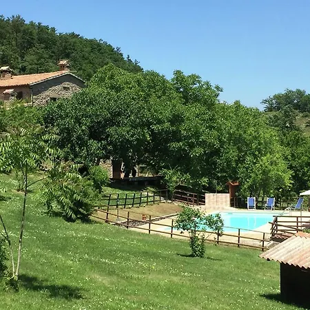 In With Pool & Apecchio